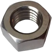 Hex Nut #18-8 SS